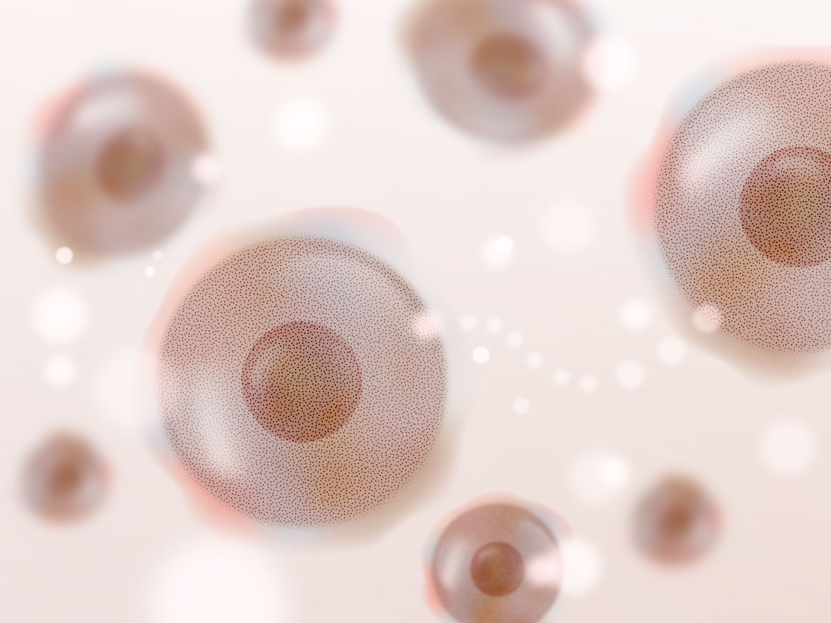 feat0<br />
<b>Warning</b>:  Undefined variable $i in <b>/home/xs171376/reunet.jp/public_html/trial9/wp/wp-content/themes/reutrial/parts/loop_features.php</b> on line <b>20</b><br />
<br />
<b>Warning</b>:  Undefined variable $count in <b>/home/xs171376/reunet.jp/public_html/trial9/wp/wp-content/themes/reutrial/parts/loop_features.php</b> on line <b>20</b><br />
2